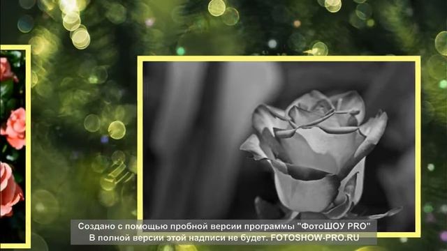 KV FILM 14 FEVRALY T смотреть онлайн