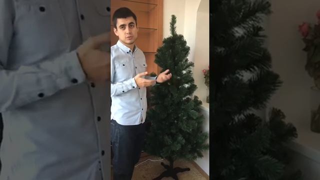 Отзыв о елке Сказка смотреть онлайн