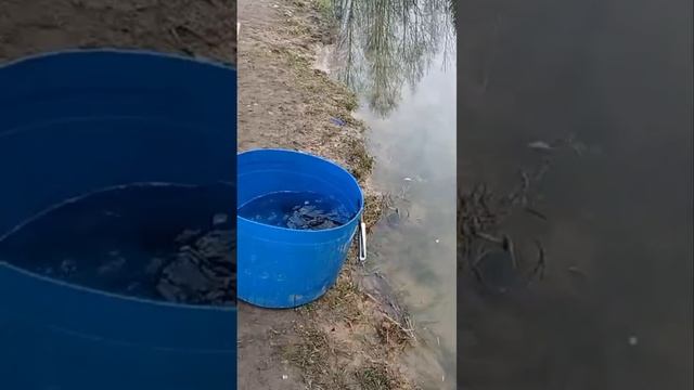 запуск смотреть онлайн