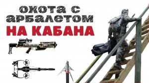 Охота с арбалетом на кабана! 2024