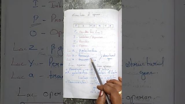 Grade XII -  Bio- Zoology || Molecular Genetics  Regulation Of Gene Expression || Online Class