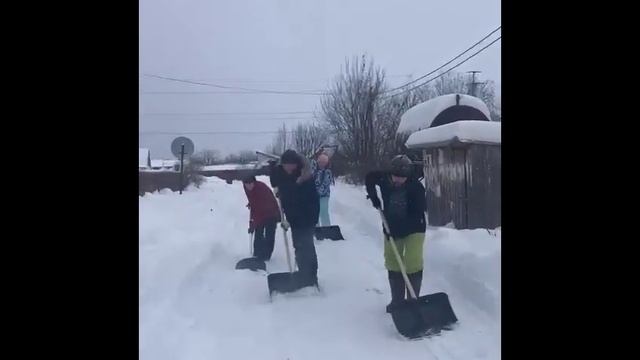 Лидеры Дружбы в деле! смотреть онлайн