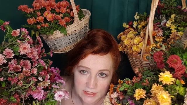 Осень заводит пластинку смотреть онлайн