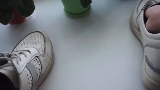 Сказка про пару смотреть онлайн