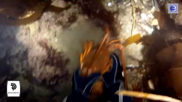 E X P E D I T I O N S underwater LOBSTERS HUNTING v. 055 смотреть онлайн