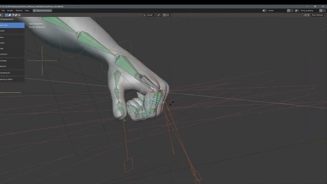 hand anatomy man 3d model.