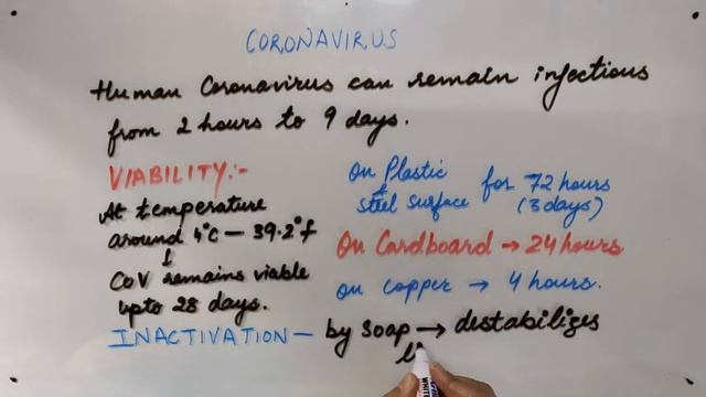 CORONAVIRUS - Life Cycle and Structure смотреть онлайн