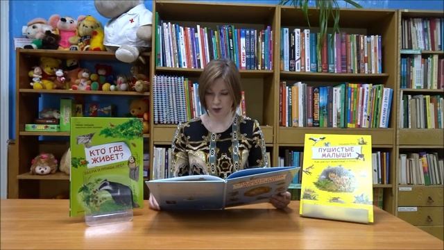 Видеорекомендация книги Сюзанны Риха "Сладких снов до весны!" смотреть онлайн