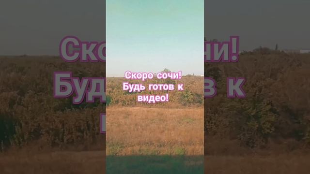 #music привет из Сочи ❤️ смотреть онлайн