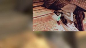 СУПЕРЦИФРЫ | Дальновидное Мышление | С1 Э6