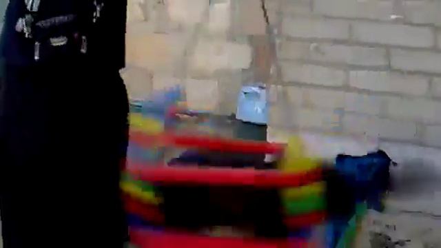 Полет кошки