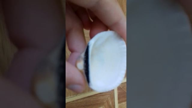 Топ-3 красивые ракушки с Одессы