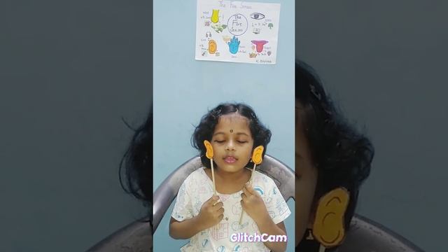 5 Sense organs Activity смотреть онлайн