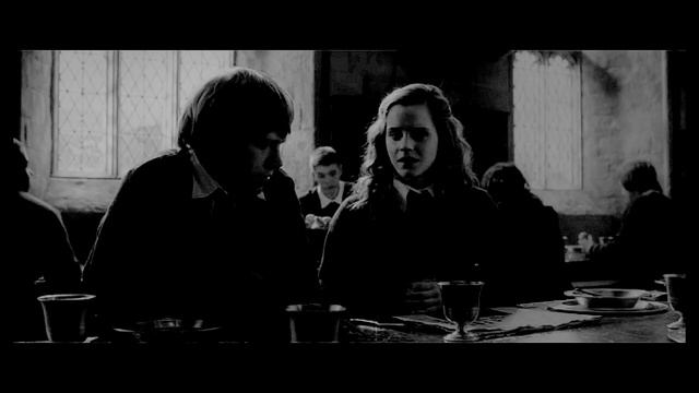 Draco And Hermione [Platinum And Chocolate]