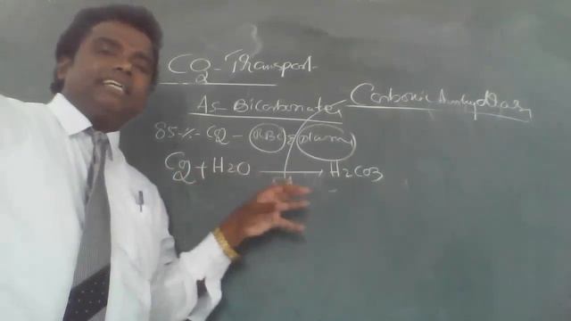 Transport of carbon dioxide by RBC,Plasma,bicorbanate by/V.KRISHNA SIR for |NEET|CSIR-NET|BSc|MSc смотреть онлайн