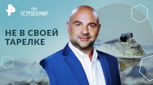 Не в своей тарелке — Как устроен мир с Тимофеем Баженовым (15.04.2024)