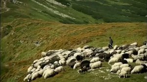 Казахмед Мовланов - Кетин дагъ (лезгинская песня)