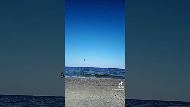 и такой я тоже могу быть#сильные слова#правда жизни#мудрые советы смотреть онлайн