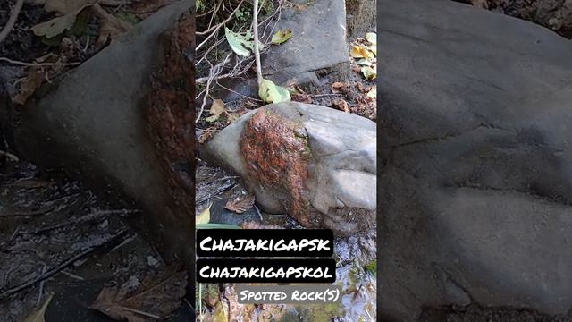 Spotted red rocks: Abenaki Language translated. Chajakigek Mkwapskw🪨❤️#wabanaki #redrocks #abenaki смотреть онлайн