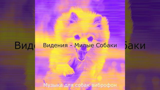 Созерцая (Одинокие собаки) смотреть онлайн