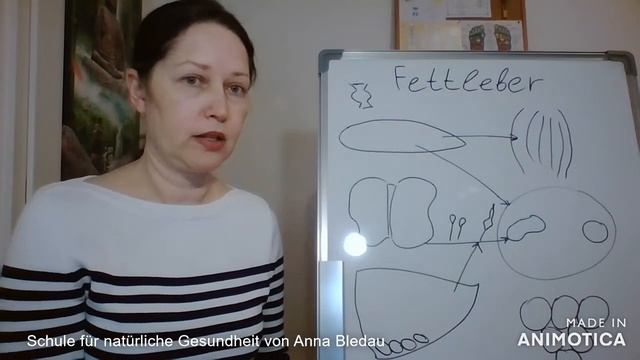 Fettleber Ursachen und Folgen смотреть онлайн