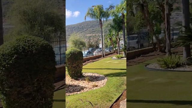 Красивый сад на территории медицинского завода в Шломи, Израиль смотреть онлайн