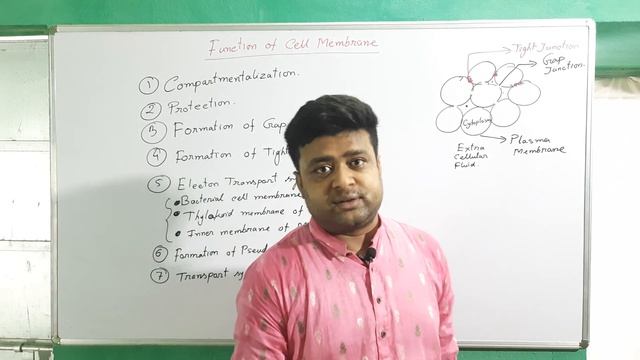 Functions of Cell Membrane|| Transport in Plasma Membrane || মাদ্রাসা||WBSSC|| SLST|| NEET ||CLASS1 смотреть онлайн