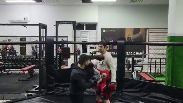 подготовка к бою с мурадом легенды который кинул таксиста и стал легендой 15 января состоится бой смотреть онлайн