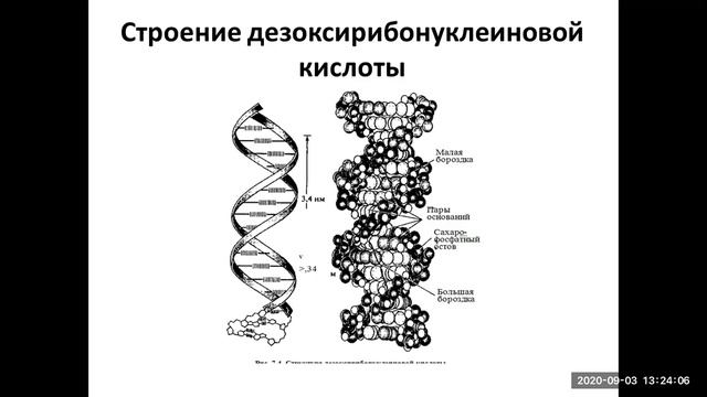 3 сентября 2020 г. смотреть онлайн