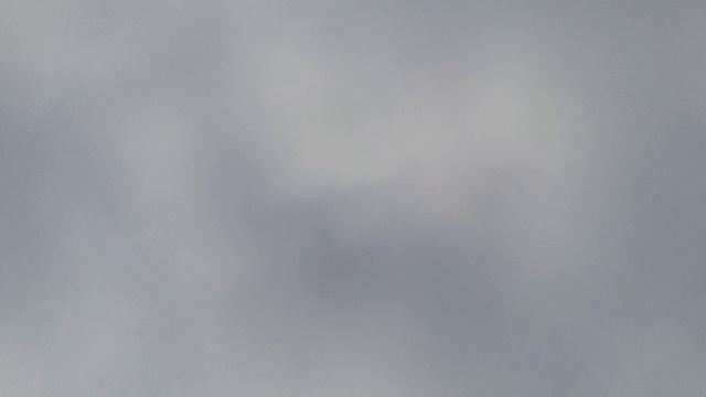 20241113_122908.mp4 смотреть онлайн