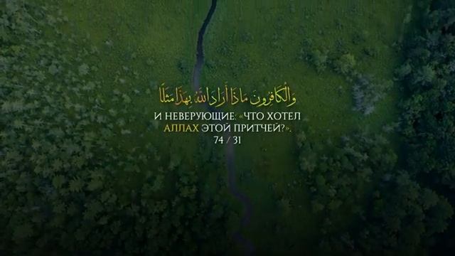 Сура 74 Аль-Муддассир красивое чтение корана чтец: Арби Аш-Шишани смотреть онлайн