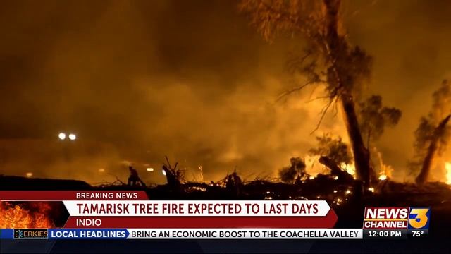 Tuesday Noon: Tree fire in Indio expected to last several days смотреть онлайн