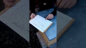 9.03.2020 Весенняя обработка пчел от клеща.