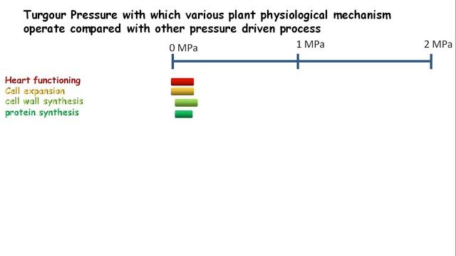 Turgor Pressure Drives Various Physiological Functions In Plants Which Help To Resist Climate Chang