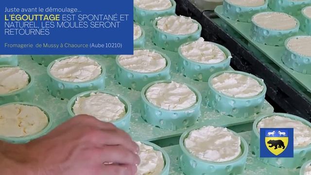 ЗАГАДОЧНЫЙ ШАУРЗ! Chaource A.O.P как его делают? смотреть онлайн