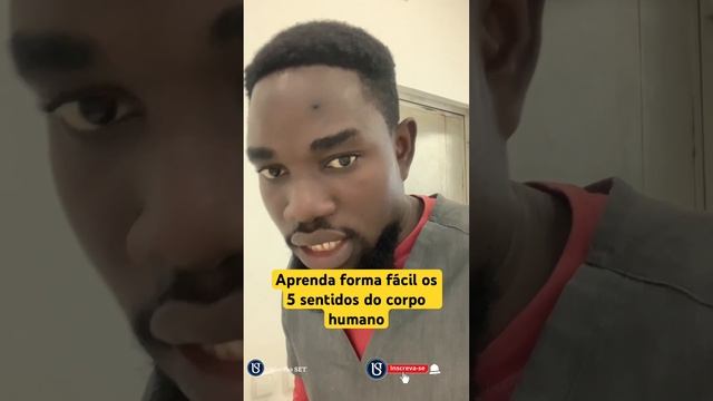 Como Aprender Os 5 Sentidos Do Corpo Humano Rápido.