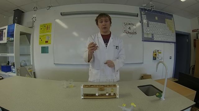 To Investigate the Conditions Necessary for Germination of Seeds смотреть онлайн