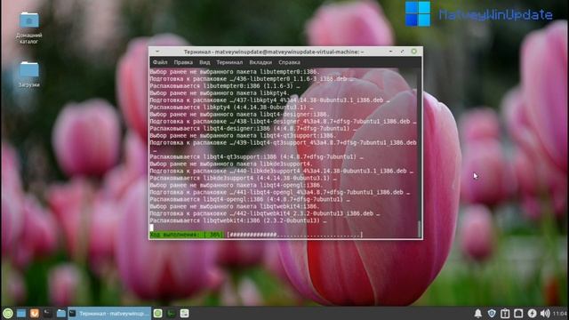 Установка KDE Plasma - linux mint под ножом оптимизатора смотреть онлайн