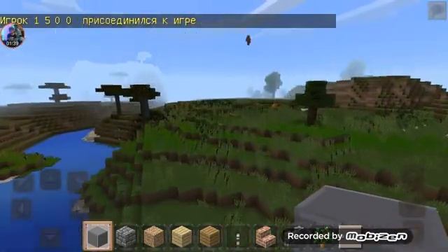 Я играл с сестрой в мастер крафт