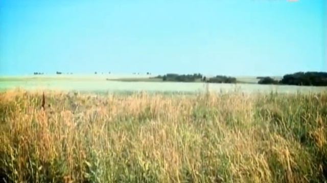 Археология.avi смотреть онлайн