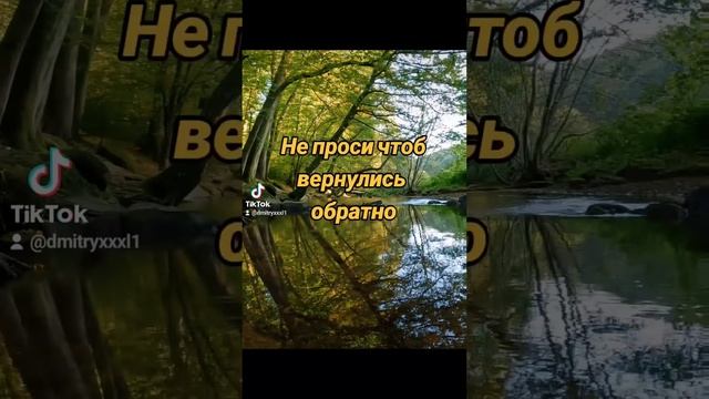 Простить и отпустить #прощение #смысл #жизнь #саморазвитие #мудрость #сосмыслом #цитата #стихи смотреть онлайн