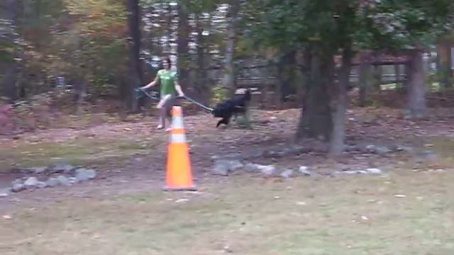 Kona Jumping