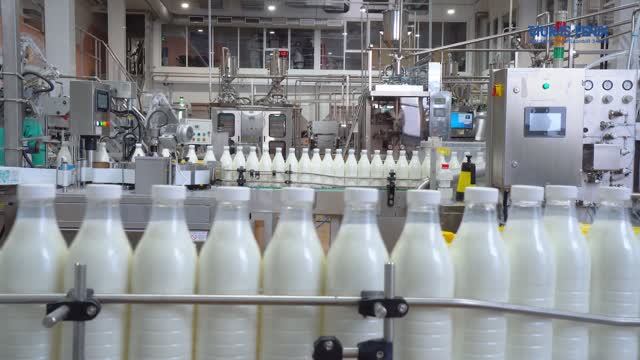 Любинский молочно-консервный комбинат смотреть онлайн