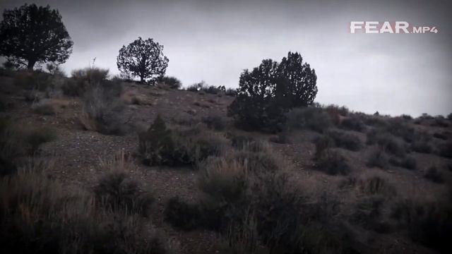 ВИДЕО #21 FEAR mp4 Исчезновения людей в дикой природе Эпизод 01 смотреть онлайн