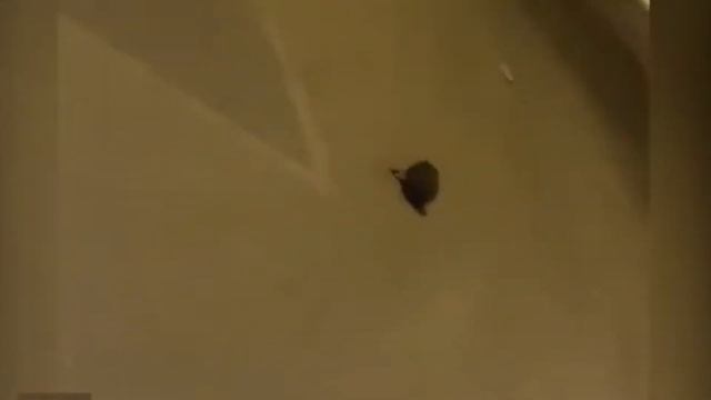 Confusing Connotations