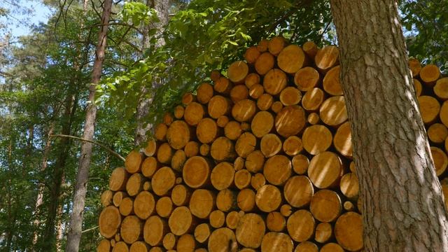 PINE RIVER SUMMER TeePee Spa