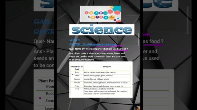 Edible Parts Of Plants with Examples | chapter-1 | Class-6 |Science|Food: Where does it come from?| смотреть онлайн