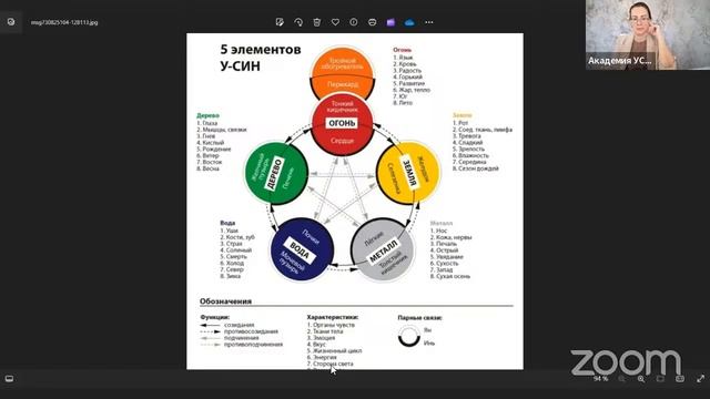 Концепция У Син - связь первоэлементов , внутренних органов и систем организма. смотреть онлайн