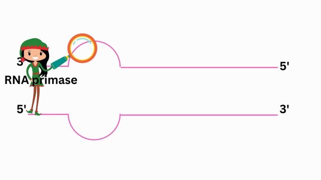 DNA Replication Explained Animated смотреть онлайн