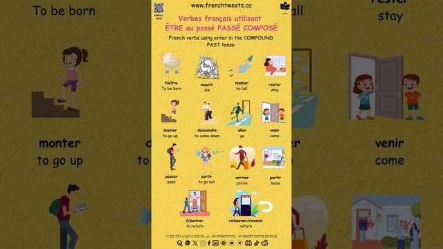 Dive into the world of French verbs with 'enter' in the compound past tense! #frenchvocabulary #tef смотреть онлайн
